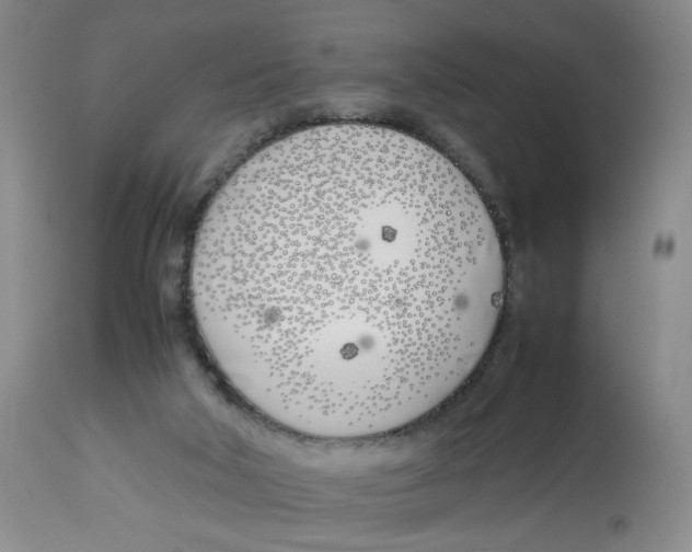 X0000113150018200910021513