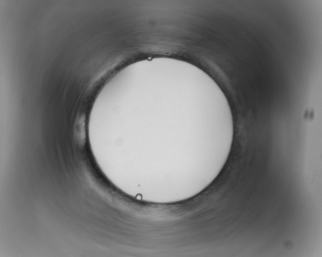 X0000113150020200910021513