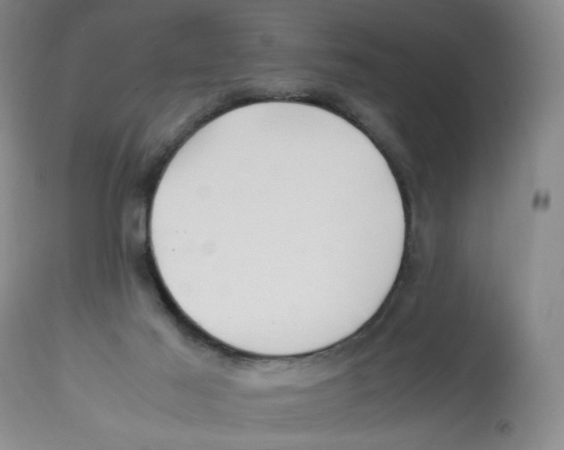 X0000113150021200910021513