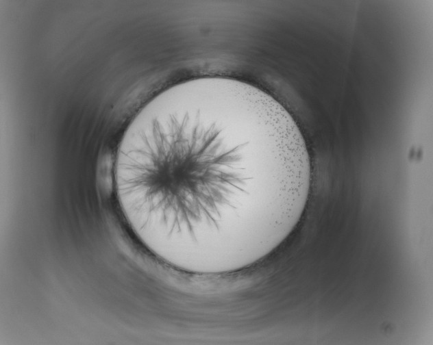 X0000113150022200910021513