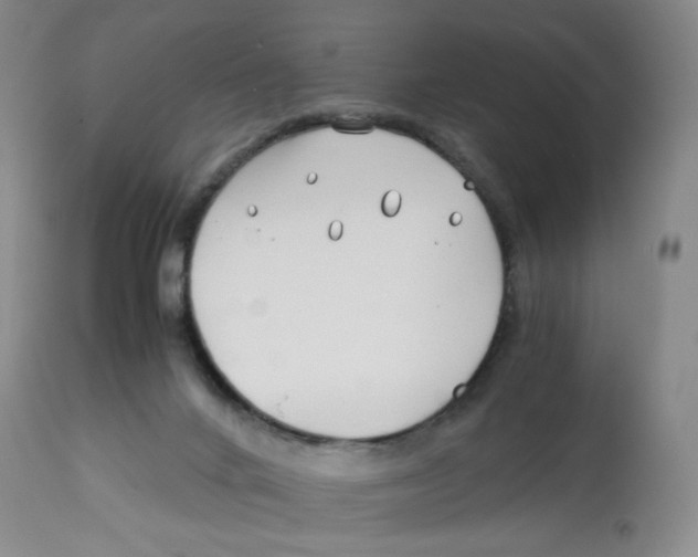 X0000113150024200910021513