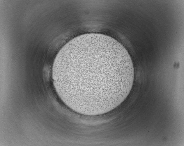 X0000113150026200910021513