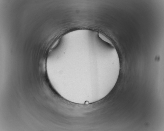 X0000113150027200910021513