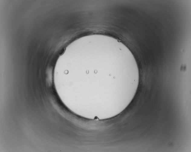 X0000113150028200910021513