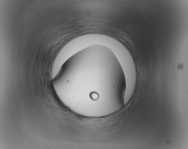 X0000113150029200910021513