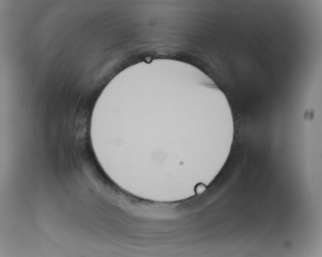 X0000113150032200910021513