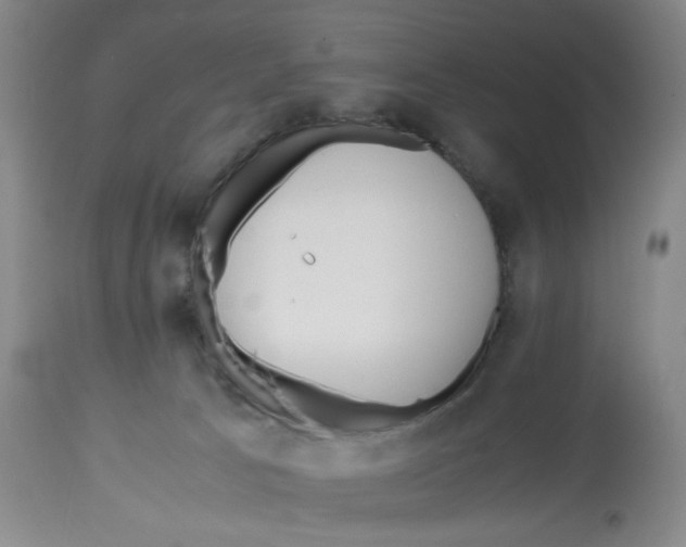 X0000113150033200910021513