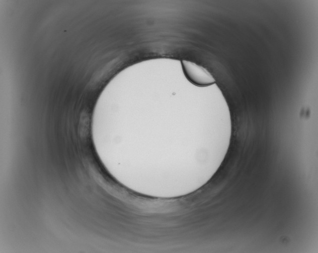 X0000113150036200910021513