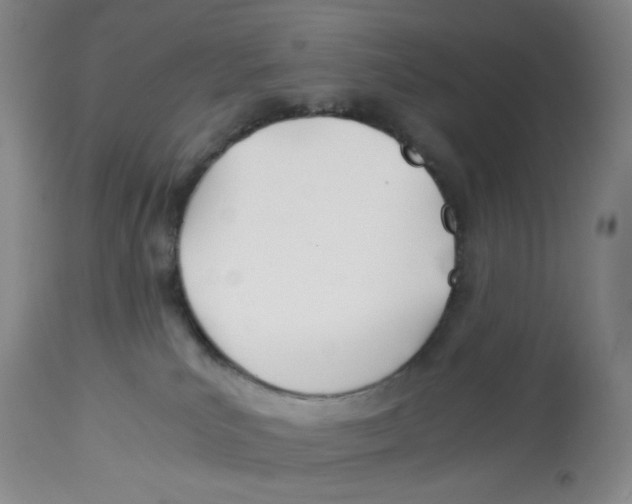 X0000113150039200910021513