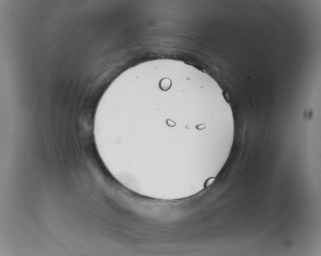 X0000113150040200910021513