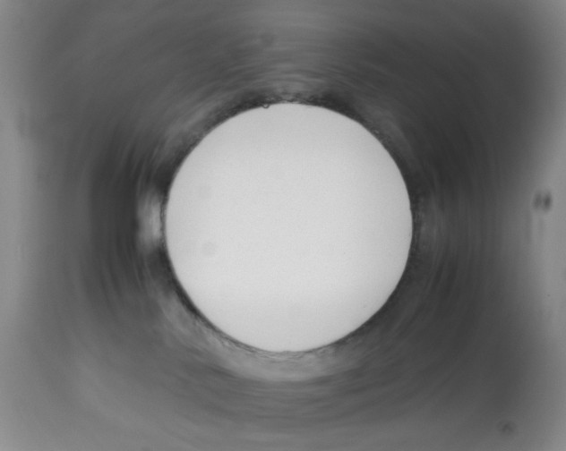 X0000113150042200910021513