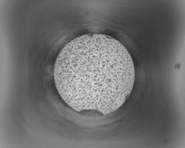 X0000113150043200910021513