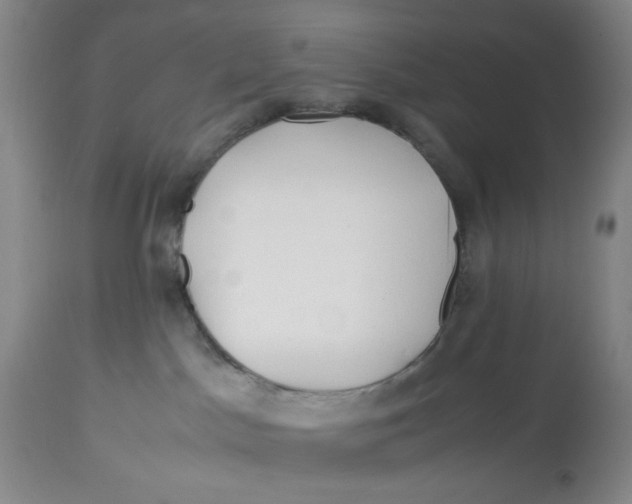 X0000113150045200910021513