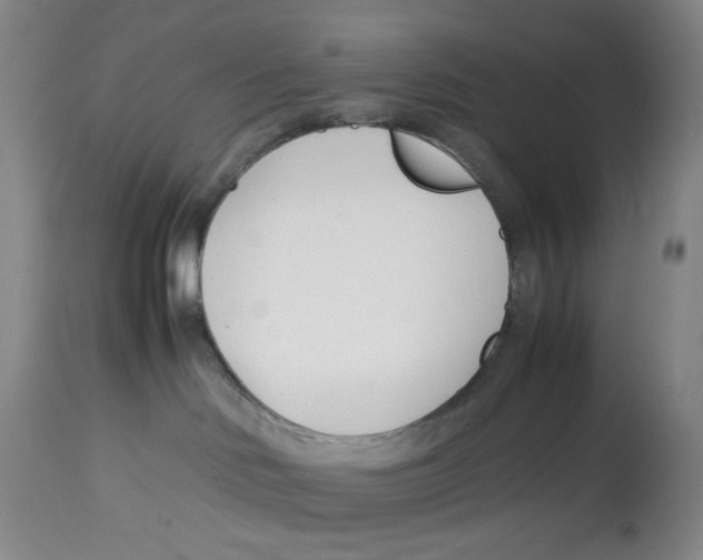 X0000113150046200910021513