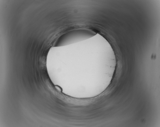 X0000113150048200910021513