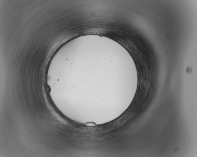 X0000113150049200910021512