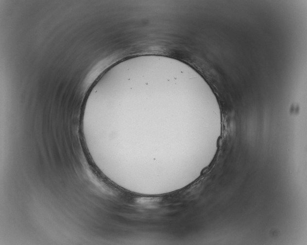 X0000113150051200910021512