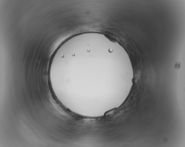 X0000113150052200910021512