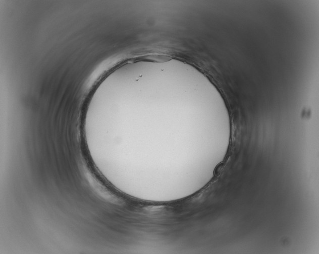 X0000113150054200910021512