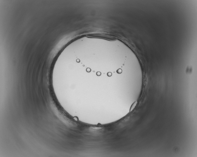 X0000113150055200910021512