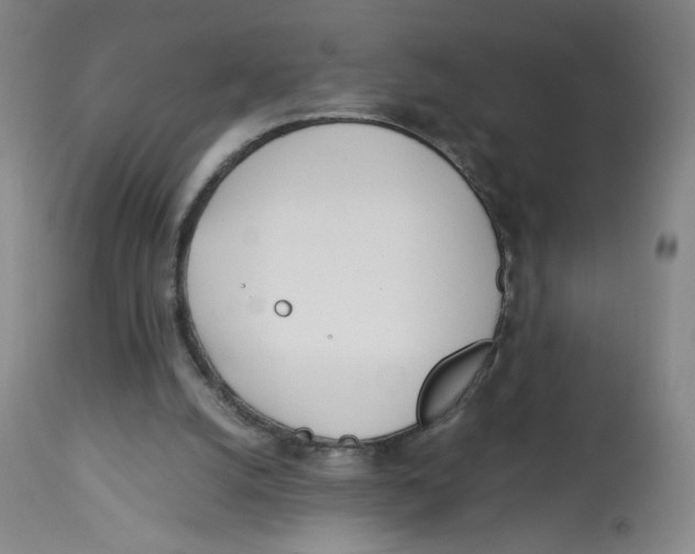 X0000113150056200910021512