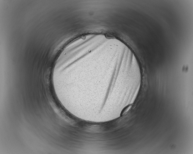 X0000113150058200910021512