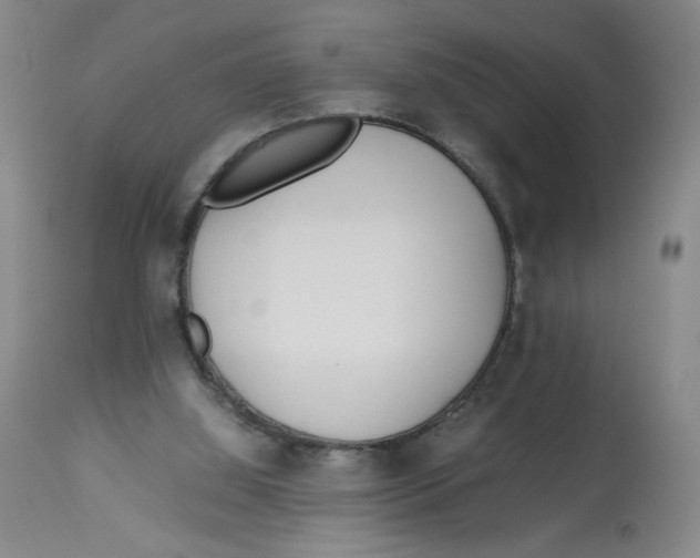 X0000113150060200910021512