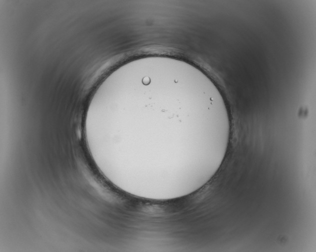 X0000113150062200910021512