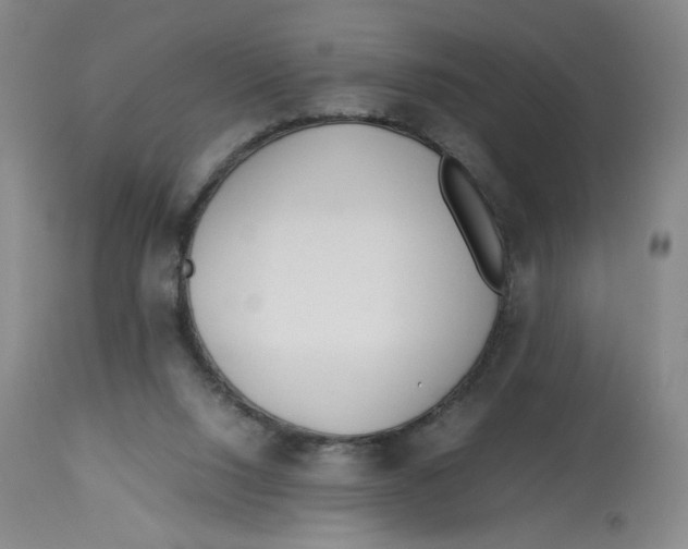 X0000113150064200910021512