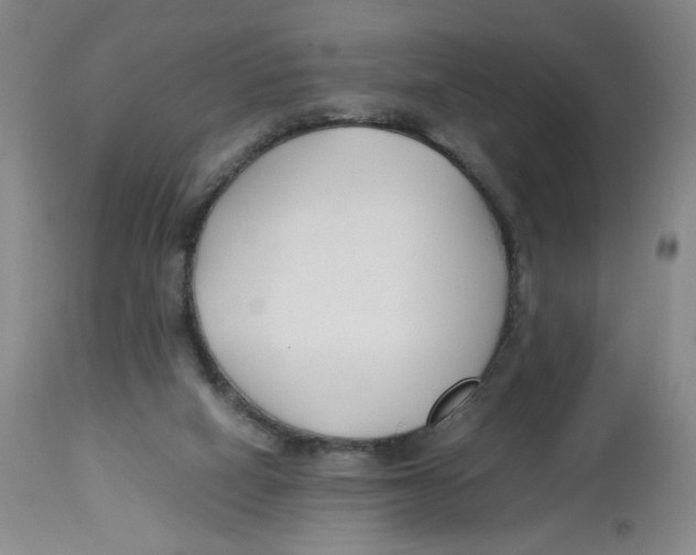 X0000113150066200910021512