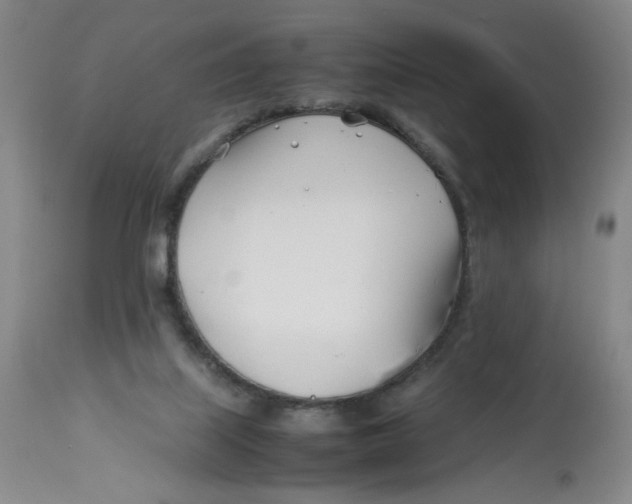 X0000113150067200910021512