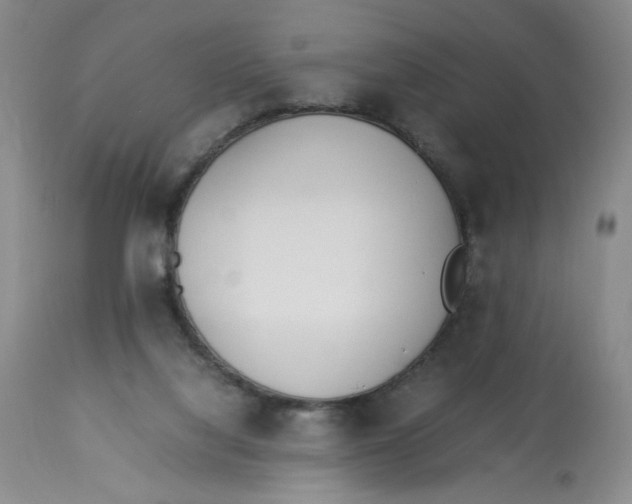 X0000113150068200910021512