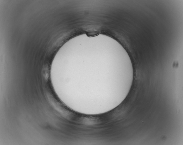 X0000113150069200910021512