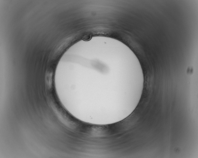 X0000113150070200910021512