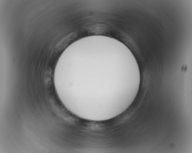 X0000113150073200910021512