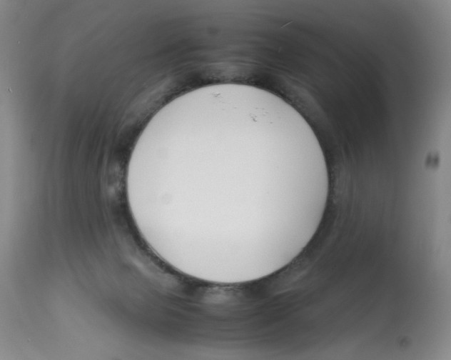 X0000113150077200910021512