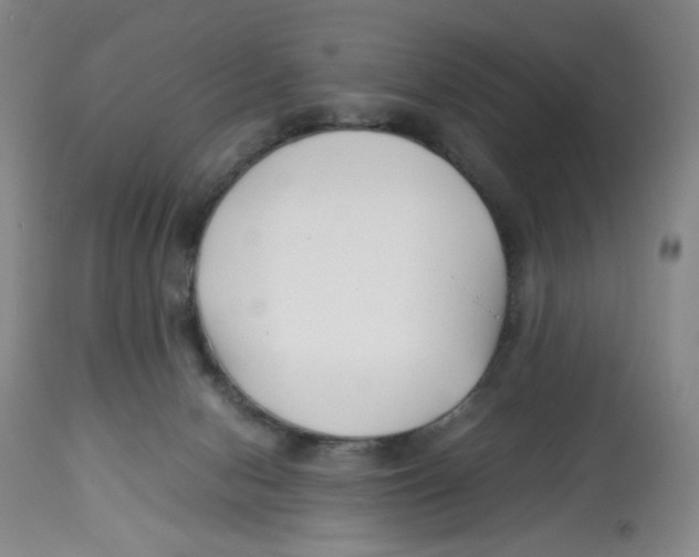 X0000113150078200910021512