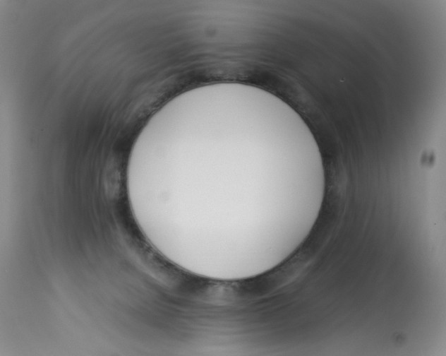 X0000113150080200910021512