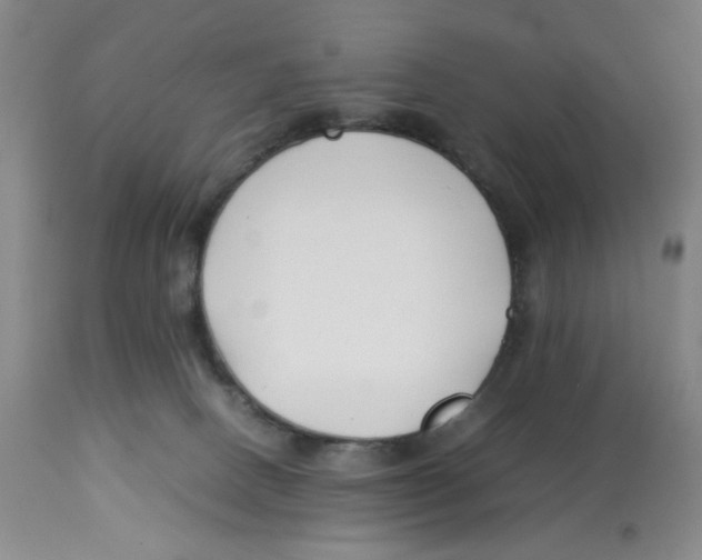 X0000113150082200910021512