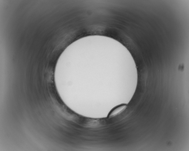 X0000113150083200910021512