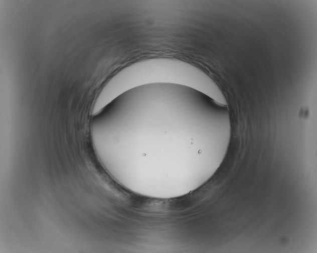 X0000113150084200910021512