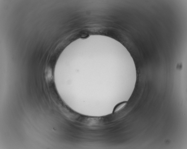 X0000113150089200910021513