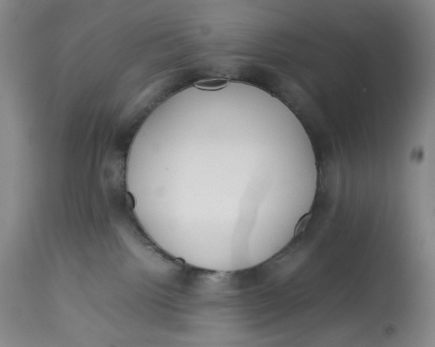 X0000113150092200910021513