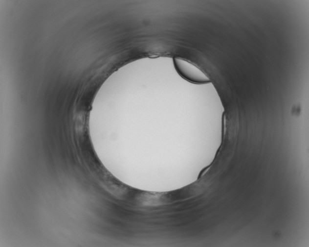 X0000113150093200910021513