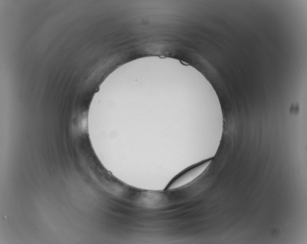 X0000113150095200910021513