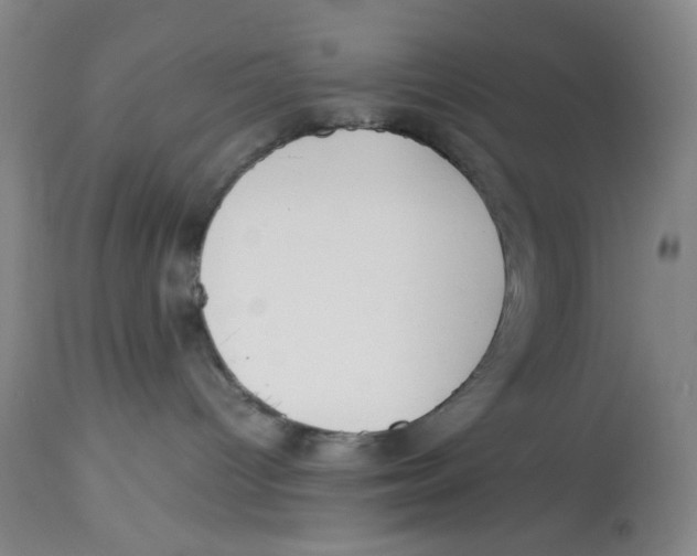 X0000113150096200910021513