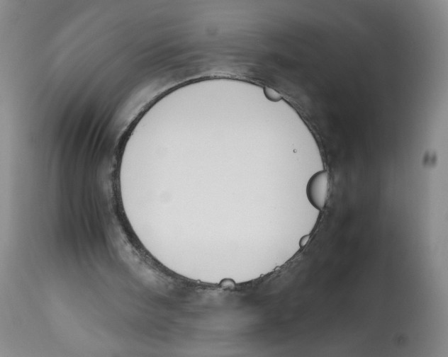 X0000113150098200910021512