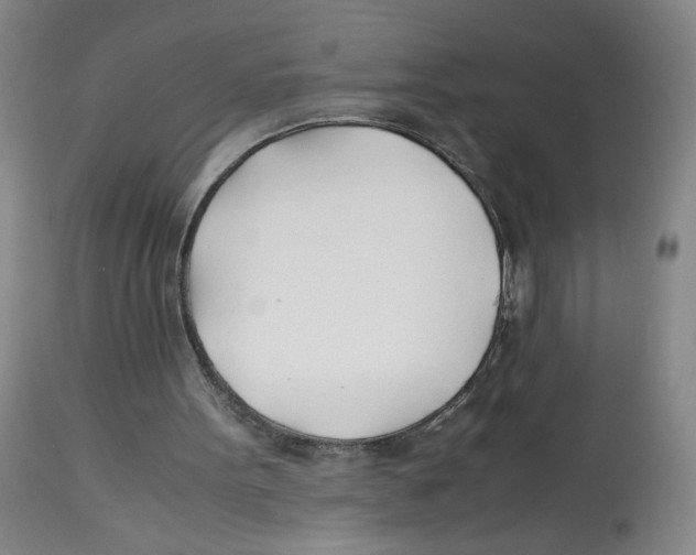 X0000113150099200910021512