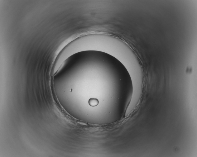 X0000113150100200910021512