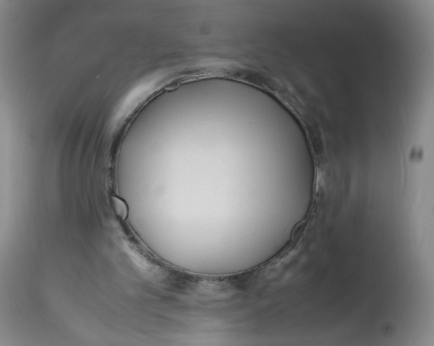 X0000113150101200910021512